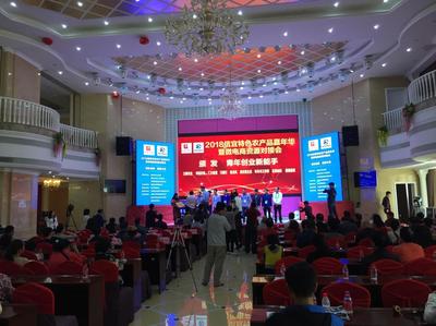 信宜舉辦特色農產品嘉年華,涌現一批農業創業青年