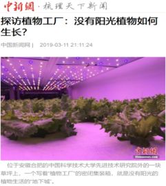 人民日報 等中央 省 市媒體集中報道 我院 植物工廠 技術與產品丨院內要聞 新聞動態 中國科學技術大學先進技術研究院